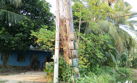 image-here